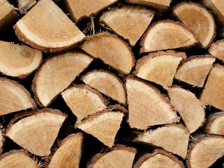 How to Properly Season and Store Firewood